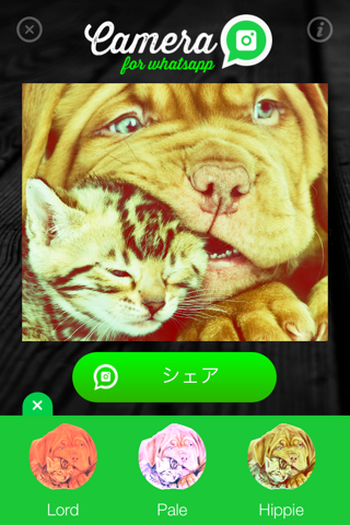 Camera for WhatsApp - Share amazing photos with your friends screenshot 2