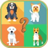 Most Popular Dog Breeds Trivia Quiz ~ American pet training 101 guide for animal lovers