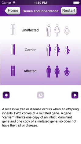 Game screenshot Gene Screen apk