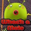 Best Fun Whack a Mole Games