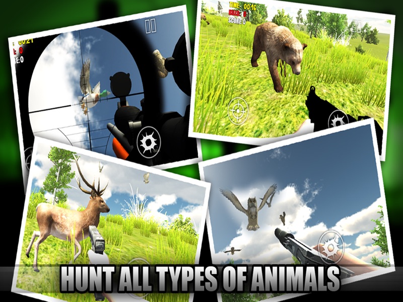 Ace Bird Sniper 2014 - Hunting Birds & Animals, Adult Simulator Hunter Games screenshot 7