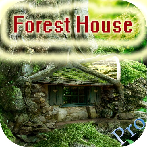 Forest House Hidden Object Pro iOS App