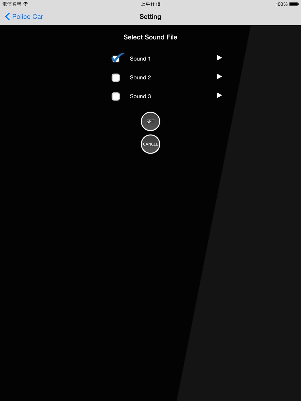 iPad screenshot