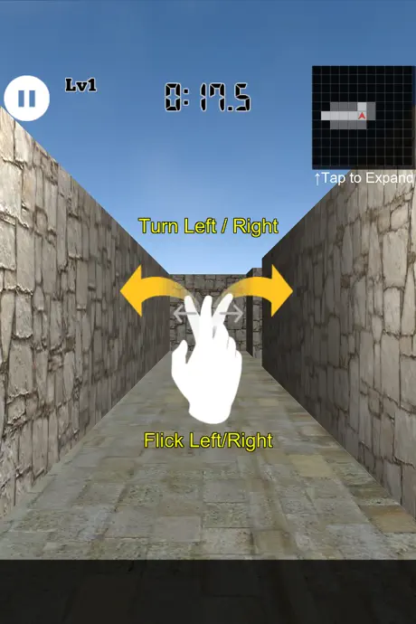 3D Maze Level 100