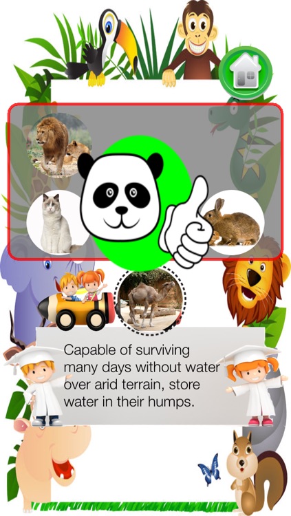 Guess the Animals For Kids Free screenshot-4