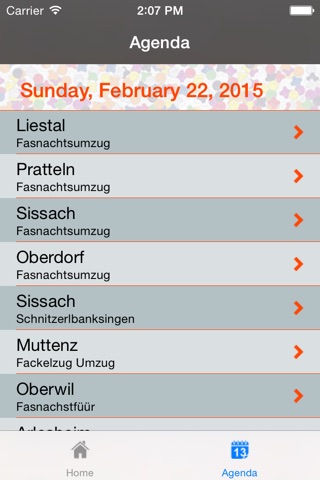 BaselFasnacht screenshot 4