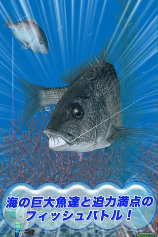 Reel Fishing Pocket 2 : Ocean screenshot 2