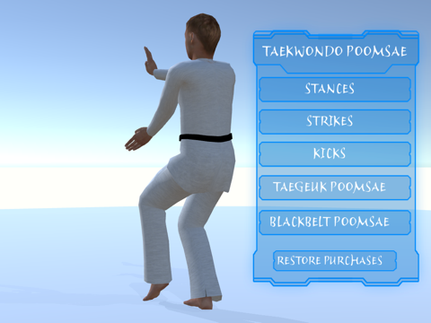 Screenshot #5 pour Taekwondo Poomsae