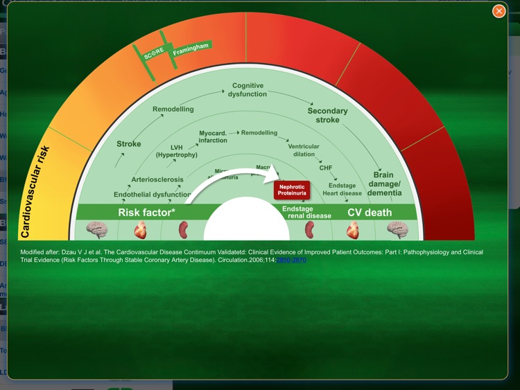 Cardiovascular risk and prevention - Risk Calculator