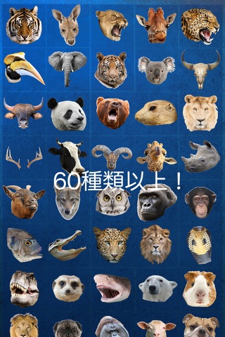 Animal Face Photo Booth screenshot 4