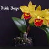 Orchids Shopper