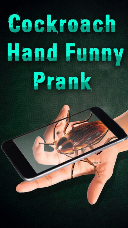 Cockroach Hand Funny Prank
