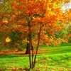 Jigsaw Puzzle Autumn