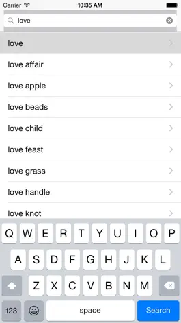 Game screenshot English Bosnian best dictionary - Engleski Bosna najbolji rječnik prevoditelj apk