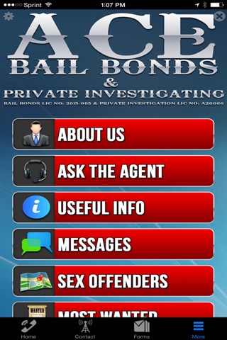 Ace Bail Bonds Of Texas screenshot 4