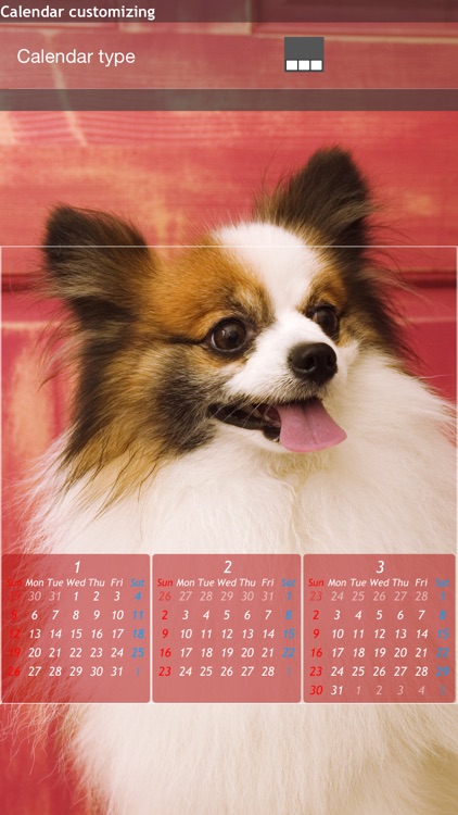 12Calendar - Lock screen wallpaper calendar screenshot-3