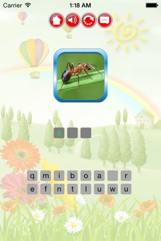 Insect For Kid - Educate Your Child To Learn English In A Different Way screenshot 4