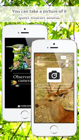 Game screenshot Observation Camera (silent) mod apk