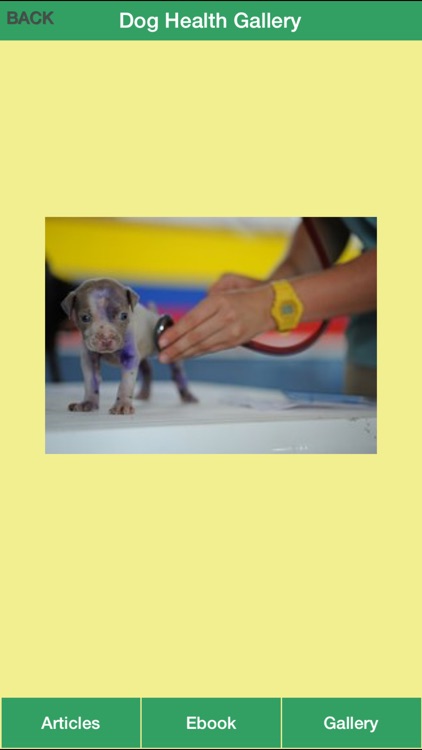 Dog Health Guide - Have a Healthy Dog and Happy Life for Your Dog! screenshot-3