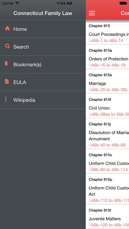 Connecticut Family Law screenshot-4