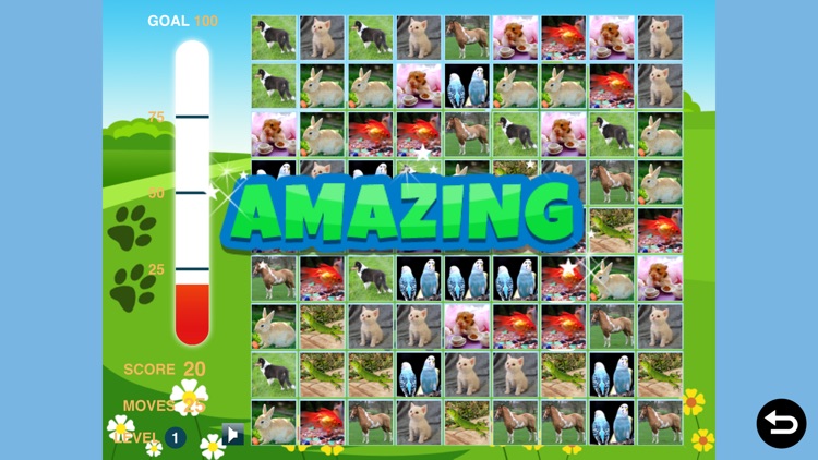Animal World: Games, Videos, Books and More screenshot-3