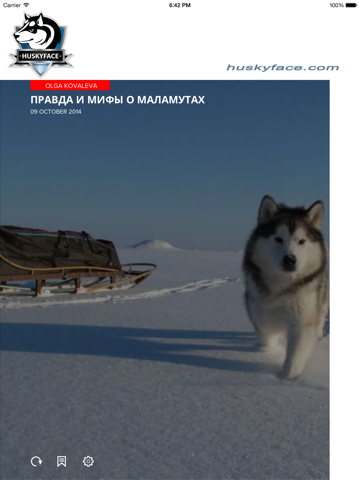 Скриншот из HuskyFace - Для владельцев северных ездовых собак