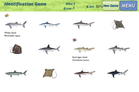 Sharks & Rays - ID Guide screenshot 3