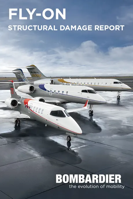 Bombardier Fly On