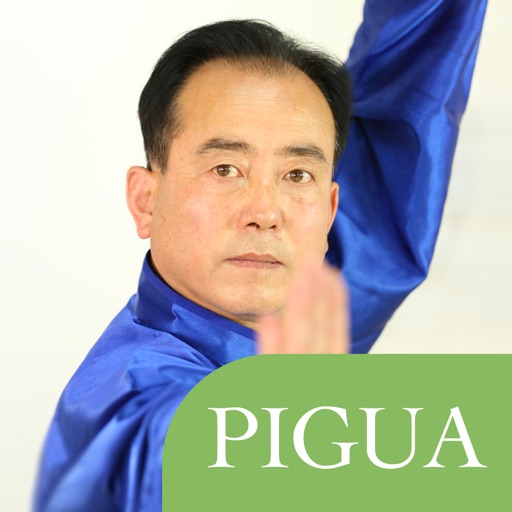 Series of Piguaquan in Tongbei Kungfu