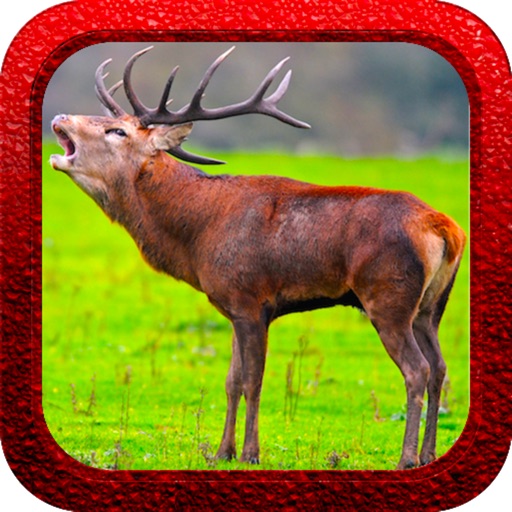 Red Deer Hunting Shooter Icon