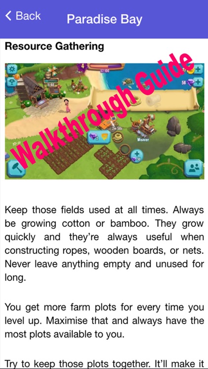 Guide for Paradise Bay