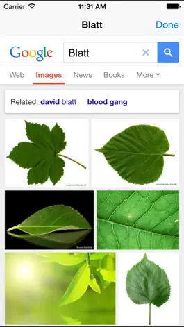 Game screenshot German-English Dictionary Free hack
