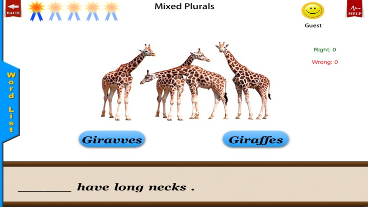 Irregular Plurals Free - English Language Art Grammar App