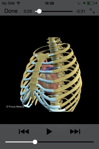 HEART -  Digital Anatomy screenshot 3