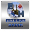 Erzurum Haber