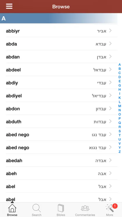 Screenshot 5 di 5 di Hebrew Bible Dictionary