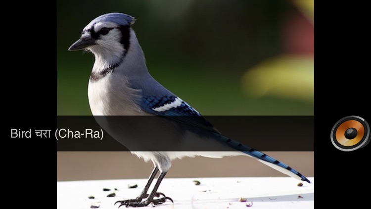 MyNepali -Read and hear Nepali words