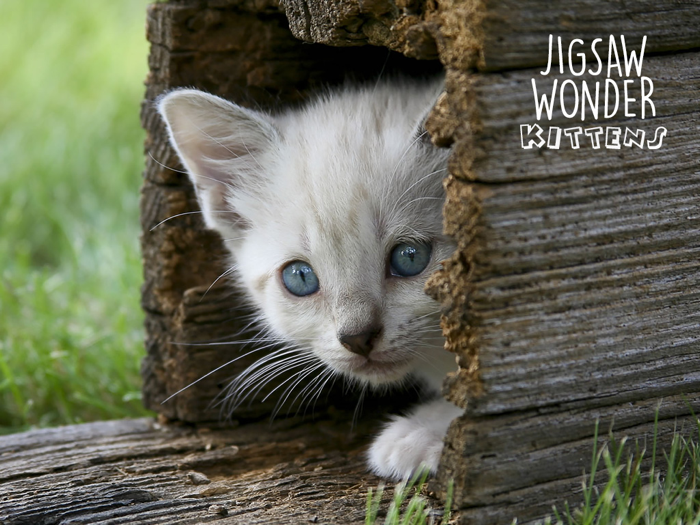 Jigsaw Wonder Kittens Puzzles for Kids