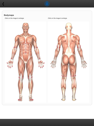 Screenshot #6 pour HealYourself Body Laser System
