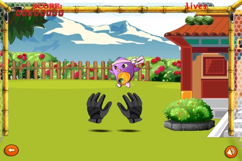 Bird Ninjas Flick - Fruit Slasher - Pro screenshot 3