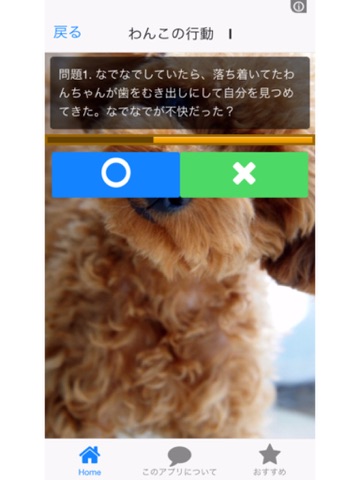 Screenshot #6 pour 無料 いぬのきもちわかるかな？犬好きの為のアプリ