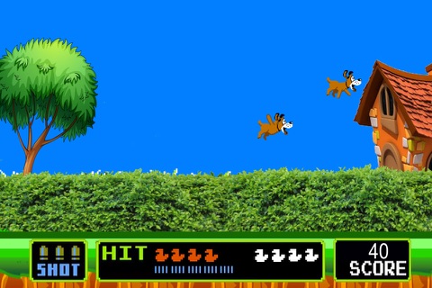 Dove hunt screenshot 2