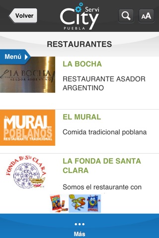 Servicity Puebla screenshot 3