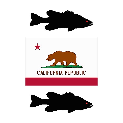 BassFishCA icon