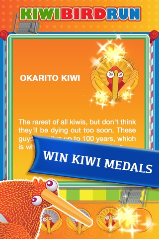 Kiwi Bird Run - Cute Birds Unite! screenshot 3