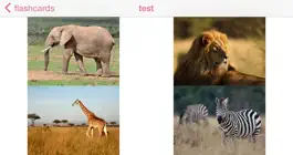 Game screenshot Photo Flashcards hack