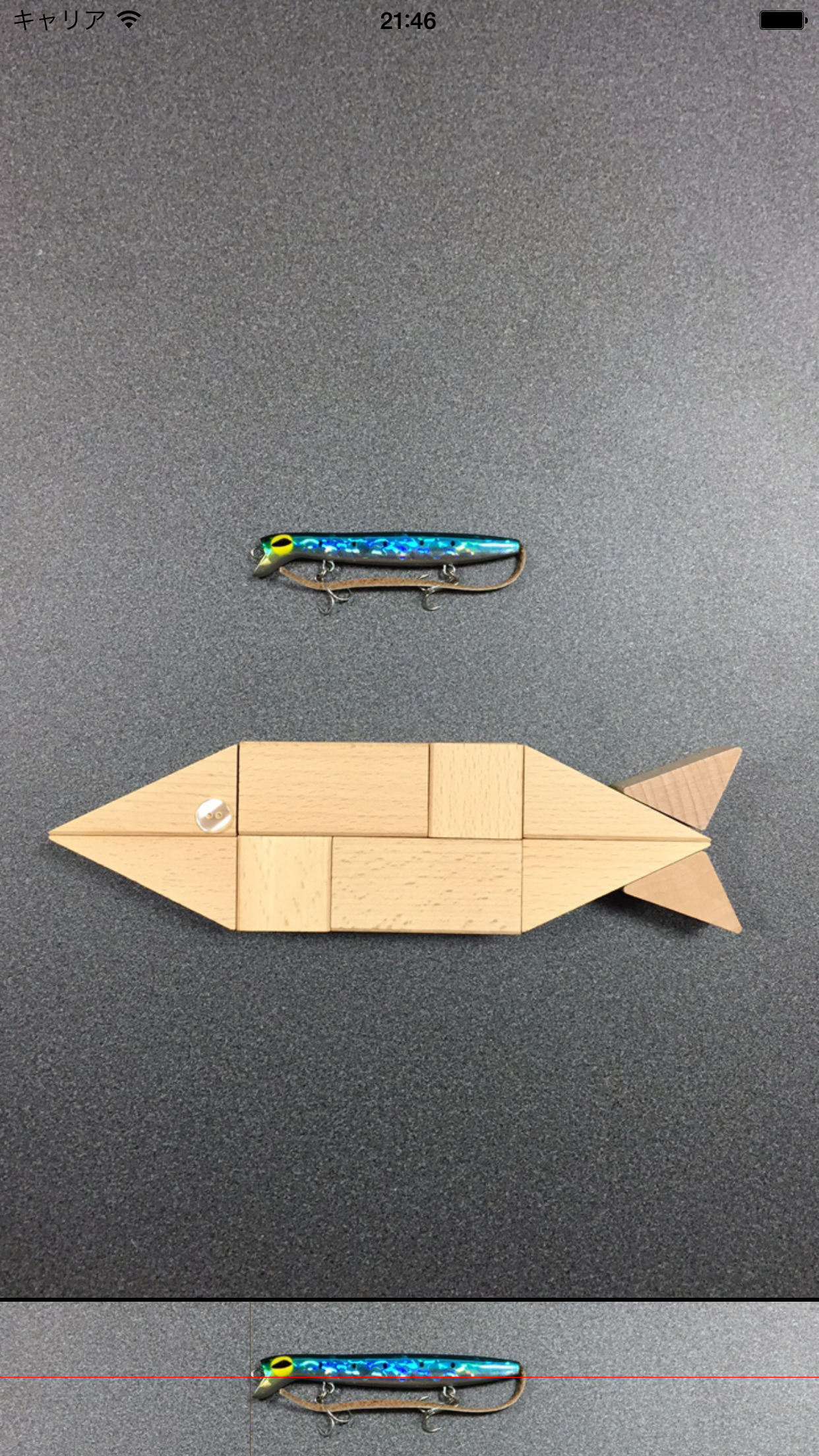 魚定規