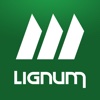 Lignum