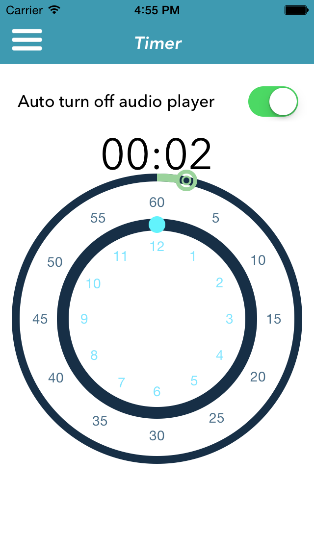 Radio Cast iPhone screenshot 3 - Music app