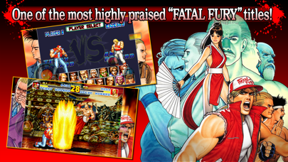 FATAL FURY SPECIAL Screenshot